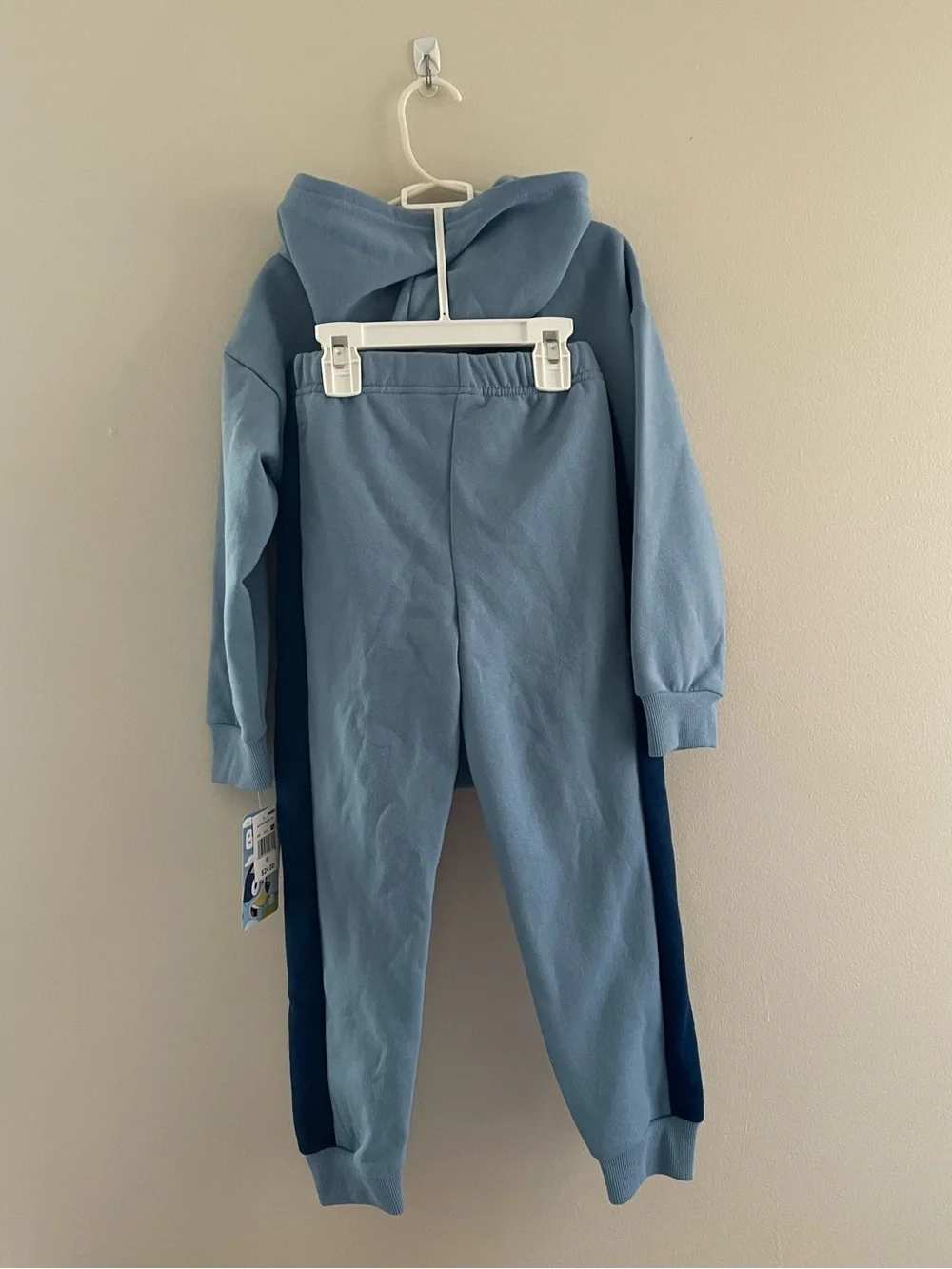 Toddler Boys NWT 5T Bluey and Bingo Hooded Sweat Pant Set